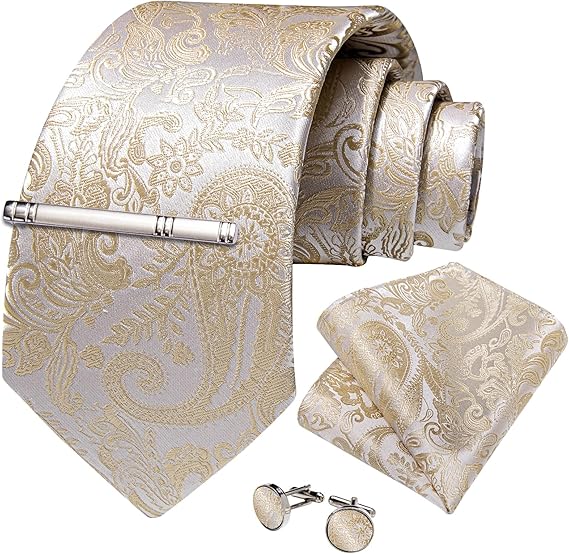 Silk Floral Ties for Men Woven Paisley Necktie and Tie Clip Handkerchief Cufflinks Set for Party Wedding(Champagne Paisley)