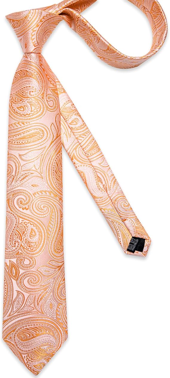 Silk Floral Ties for Men Woven Paisley Necktie and Tie Clip Handkerchief Cufflinks Set for Party Wedding(Coral Paisley)
