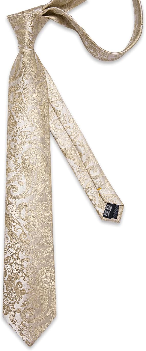 Silk Floral Ties for Men Woven Paisley Necktie and Tie Clip Handkerchief Cufflinks Set for Party Wedding(Champagne Paisley)