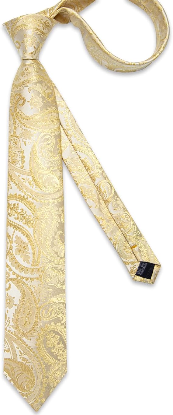 Silk Floral Ties for Men Woven Paisley Necktie and Tie Clip Handkerchief Cufflinks Set for Party Wedding( Light Yellow Paisley)