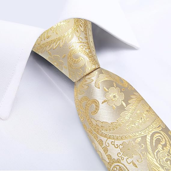 Silk Floral Ties for Men Woven Paisley Necktie and Tie Clip Handkerchief Cufflinks Set for Party Wedding( Light Yellow Paisley)