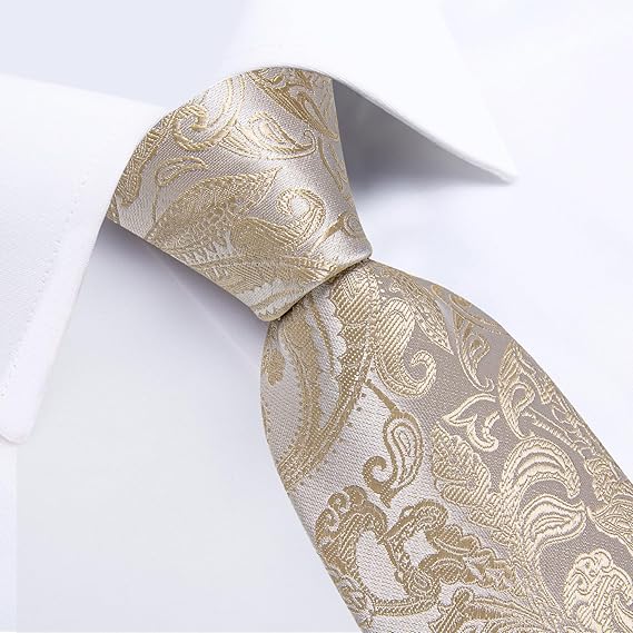 Silk Floral Ties for Men Woven Paisley Necktie and Tie Clip Handkerchief Cufflinks Set for Party Wedding(Champagne Paisley)