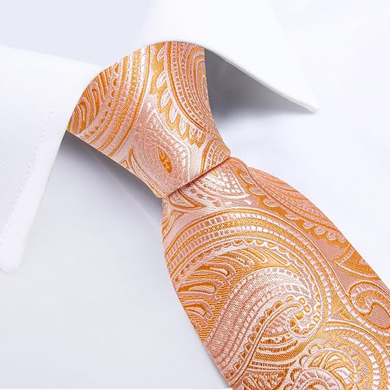 Silk Floral Ties for Men Woven Paisley Necktie and Tie Clip Handkerchief Cufflinks Set for Party Wedding(Coral Paisley)