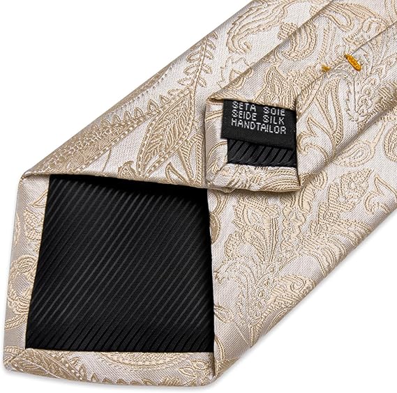 Silk Floral Ties for Men Woven Paisley Necktie and Tie Clip Handkerchief Cufflinks Set for Party Wedding(Champagne Paisley)