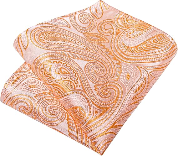 Silk Floral Ties for Men Woven Paisley Necktie and Tie Clip Handkerchief Cufflinks Set for Party Wedding(Coral Paisley)