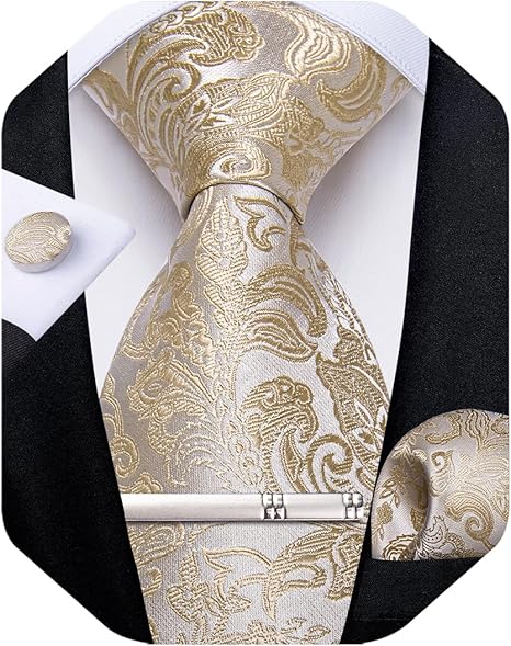 Silk Floral Ties for Men Woven Paisley Necktie and Tie Clip Handkerchief Cufflinks Set for Party Wedding（Champagne Paisley）