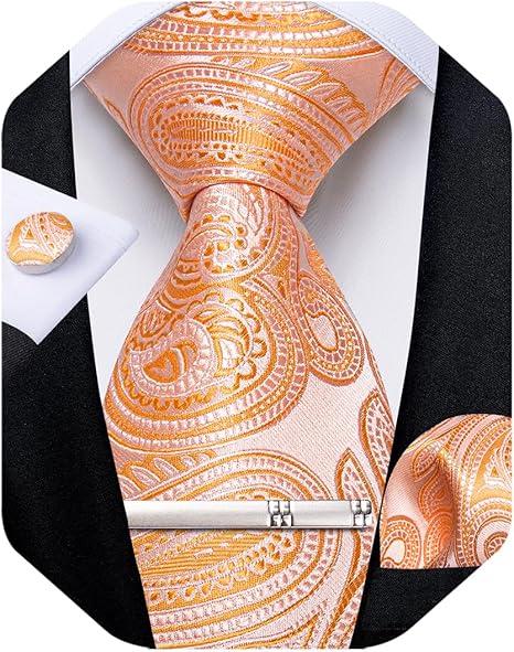 Silk Floral Ties for Men Woven Paisley Necktie and Tie Clip Handkerchief Cufflinks Set for Party Wedding（Coral Paisley）