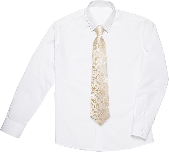 2PCS Set for Father and Son Tie Silk Mens and Boys Adjustable Necktie & Pocket Square Cufflinks Kids Pre-tied Necktie（Champagne Floral）